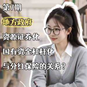第七期：地方政府资源证券化，国有资金杠杆化与分红保险的关系