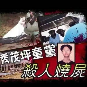 28. 香港十大奇案： 秀茂坪童党烧尸案（二）