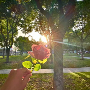 3.学到了就是自己的!从学习到输出:如何将知识转化为实际能力