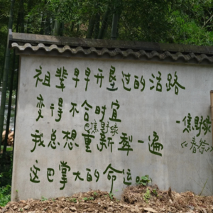 01 我们做了一场小镇女性生存的社会学观察