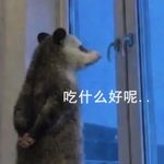 浅逢