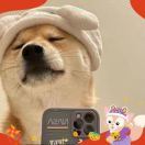 睡了呗