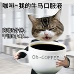 会跑的冰糖山楂