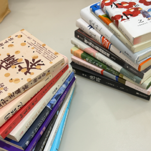 035 2024年度书籍总结-下