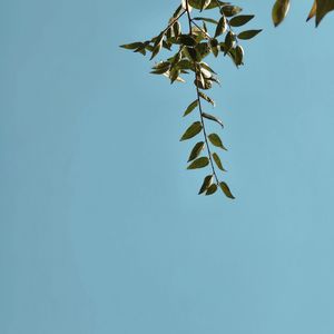瓜老师们