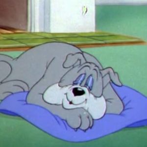 猫狗不如