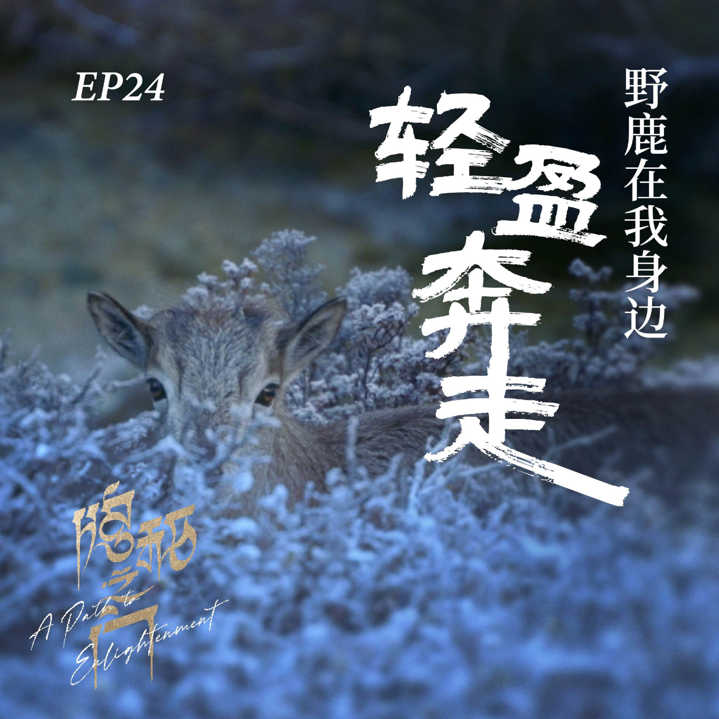 Podcast Cover