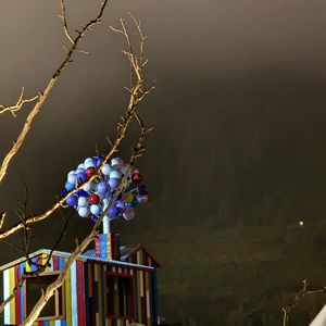 podcaster-avatar