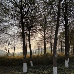 podcaster-avatar