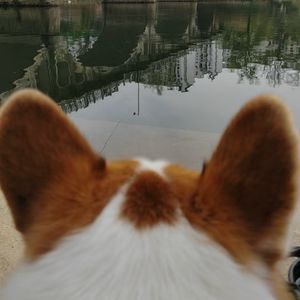 小Q爱冒险