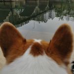 小Q爱冒险