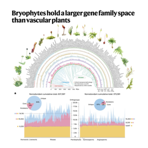230-Comprehensive genomic analysis of land plants
