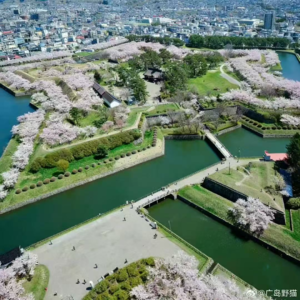 Vol.6 北海道 | 函馆五稜郭,过去的战争要塞,现在的樱花顶流
