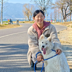 去有风的地方|大理旅居躺平不完全指南