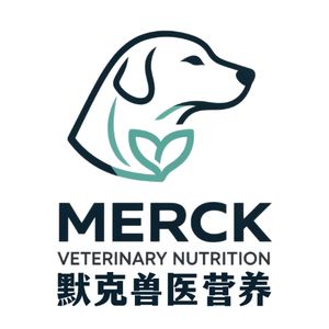 桌上甜点、水果与调味料：餐桌上狗狗的食物刺客