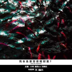 707.风水鱼要放在棺材里?