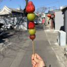 Orange胖