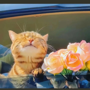 2.经历过的浪漫