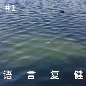 语言复健#1｜龙王，斩首，城市户口