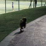 在黄昏晚霞消散时