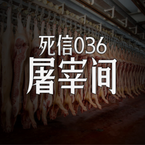 屠宰间|你逃不出去的|死信036