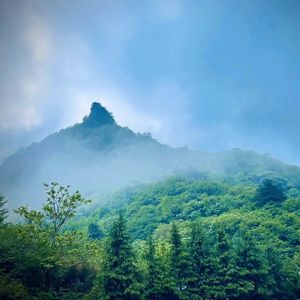 红楼梦弥撒1️⃣