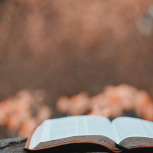 EP165 基于多价格图表的深度强化学习股票交易策略