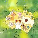 CCD视觉检测设备何慧君