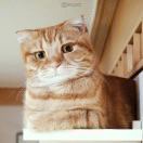 叫我昊姐就好啦