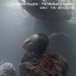 皮埃尔·于热：媒介正在泄漏