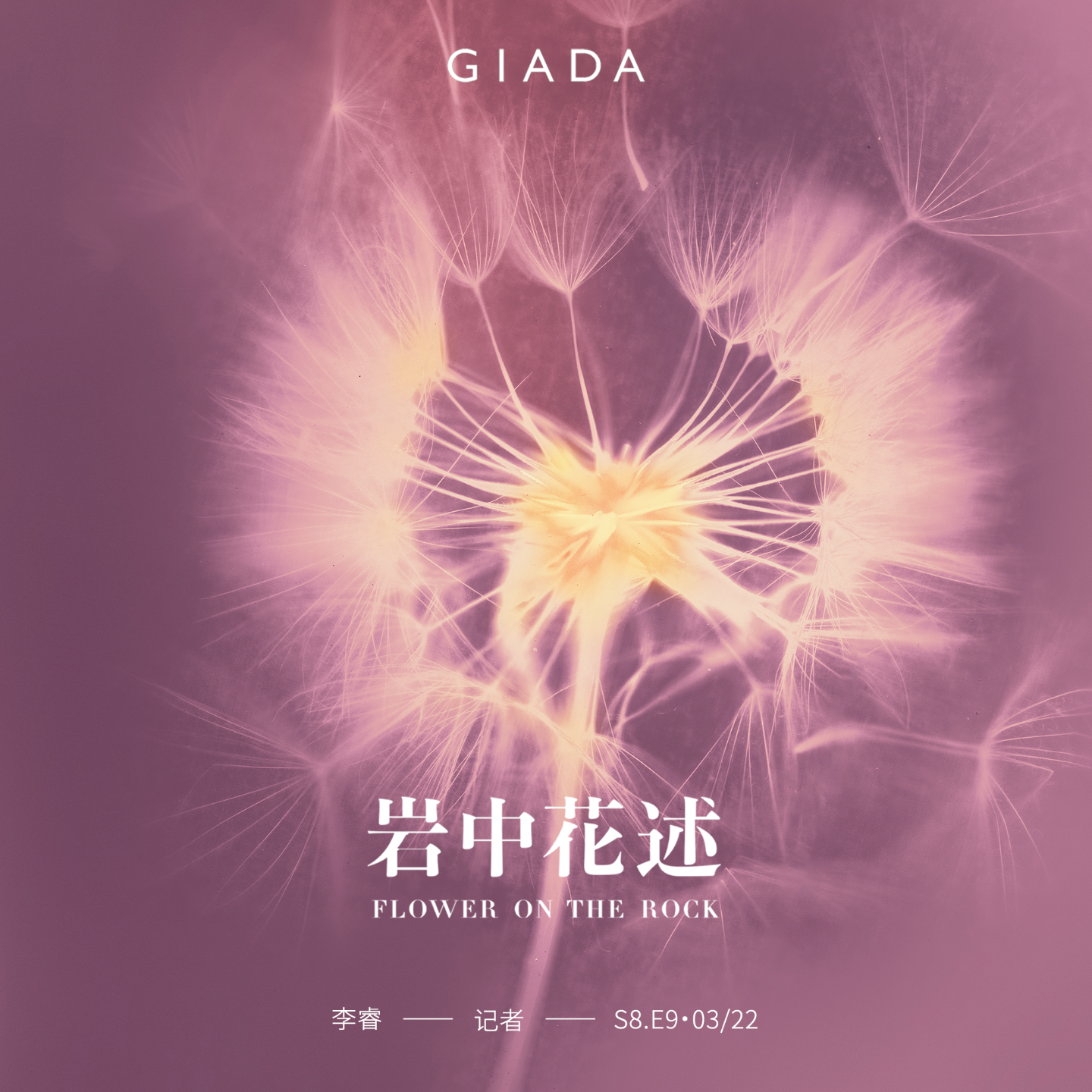 S8E9 鲁豫对话李睿 | 我只是一名记者，留在了战争发生的地方