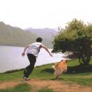 a淼也行嘛