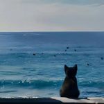 咕咕酱畅游时间