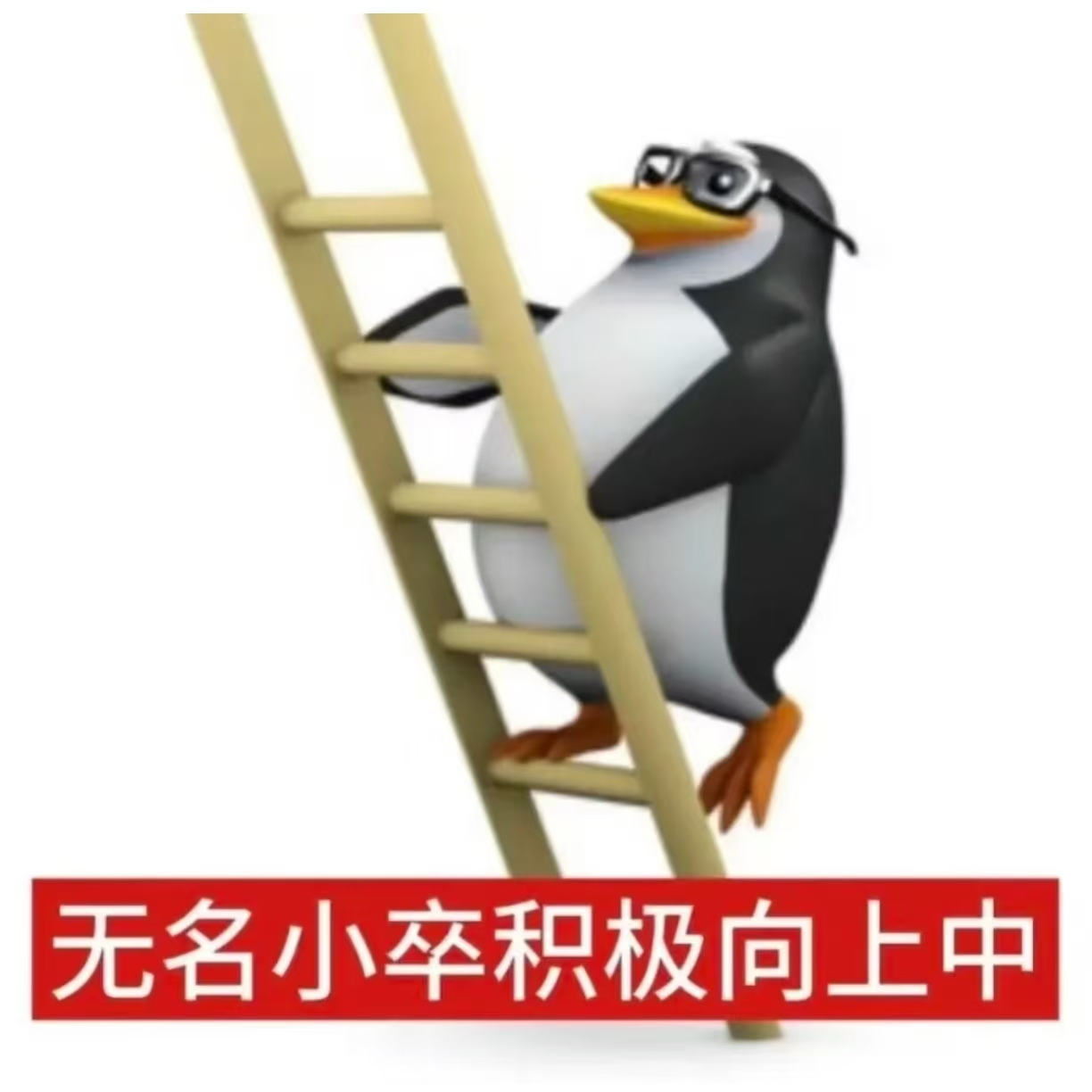 准备好业力大清算了吗？ | 12月运势 EP32 episode artwork