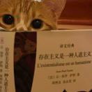 我不叫掌七