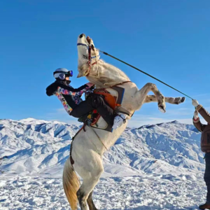 零下十七度站在禾木山顶，我想明白了AI投资的一件事