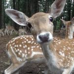 天下仍是你画册