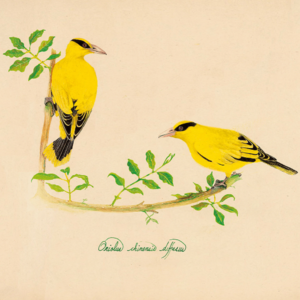 E39.《苦雨之地》：「水草／摆动／溪流里／缓缓地」