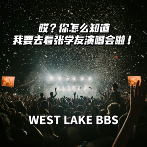 vol.12_哎?你怎么知道我要去看张学友演唱会啦!