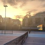 骑猪赏月赏秋香