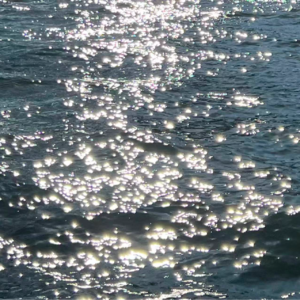 010.【串台】我们为什么要工作？