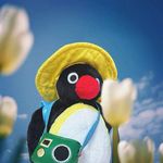 今天是想走路回家的日子