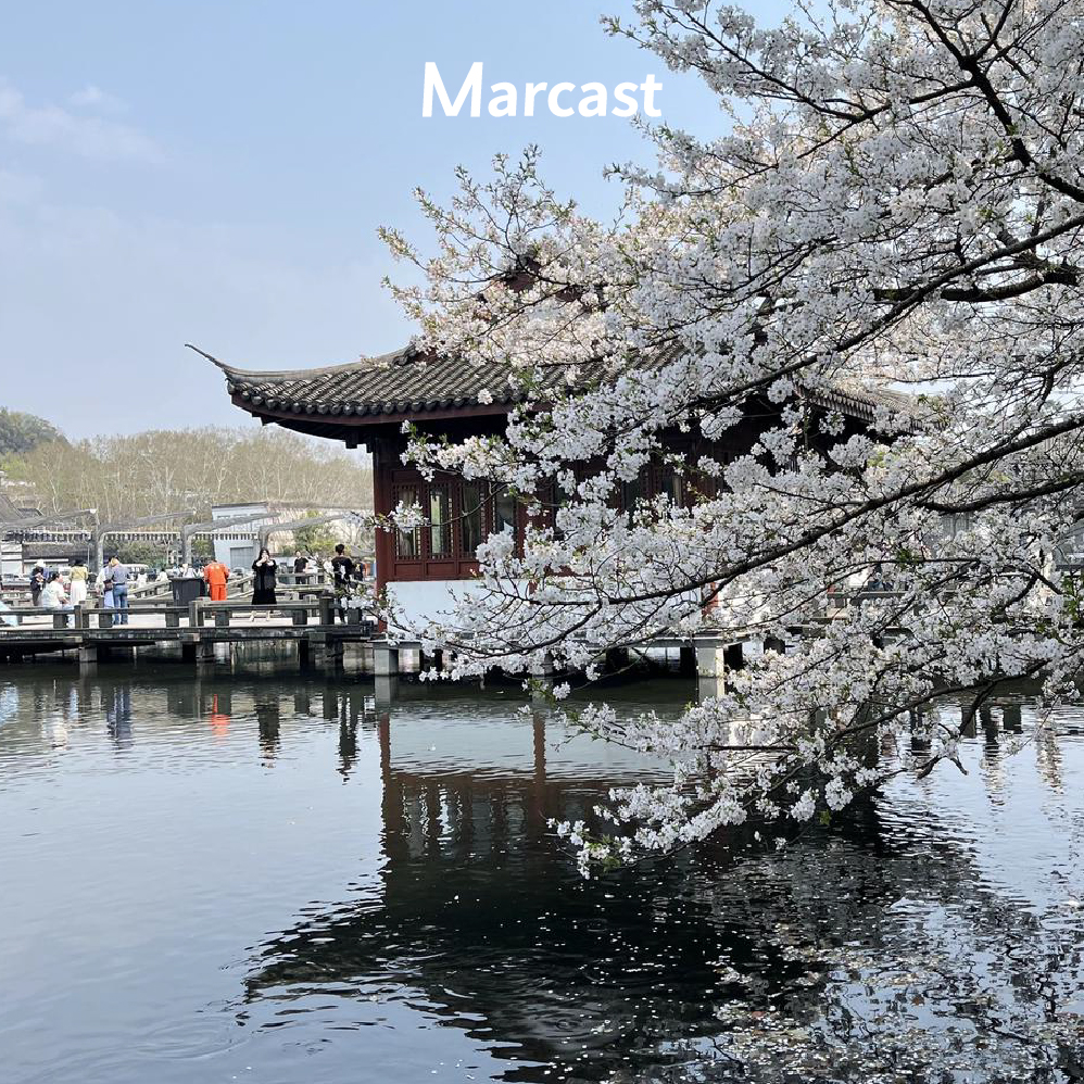 🌱 春日限定菜单：别等了，就从这些小事开始接住短暂的春天！| 隐藏菜单 12