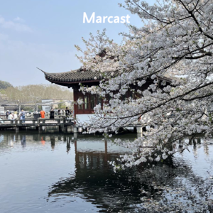 🌱 春日限定菜单：别等了，就从这些小事开始接住短暂的春天！| 隐藏菜单 12