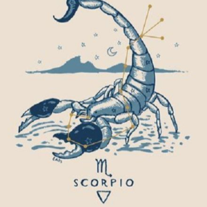 19.星座漫谈|洞悉本质的天蝎座，拥有极致专注的内在能量