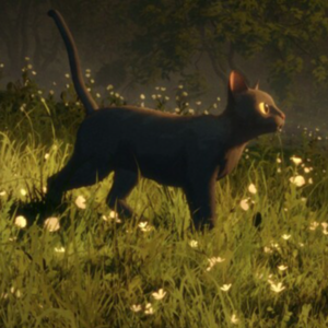 51. 为什么喜欢《猫猫的奇幻漂流》？