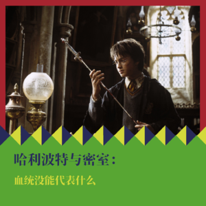 《哈利·波特与密室》:血统没能代表什么