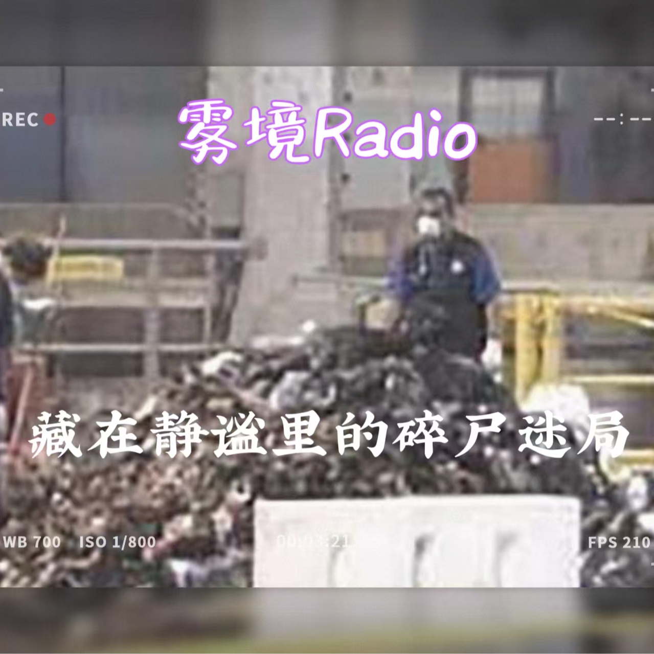 1.藏在静谧里的碎尸迷局 episode artwork