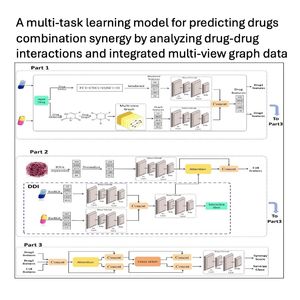 1133-MutliSyn:多任务学习预测药物组合协同作用