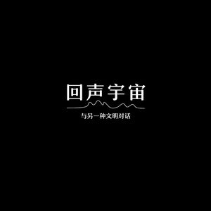 回声宇宙